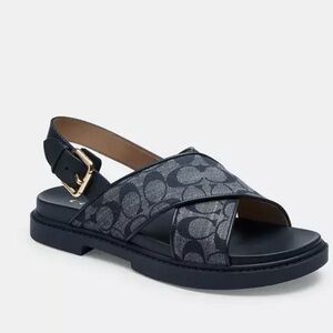 Cross-Fraser Strap Designer Logo Sandal in Navy Blue
